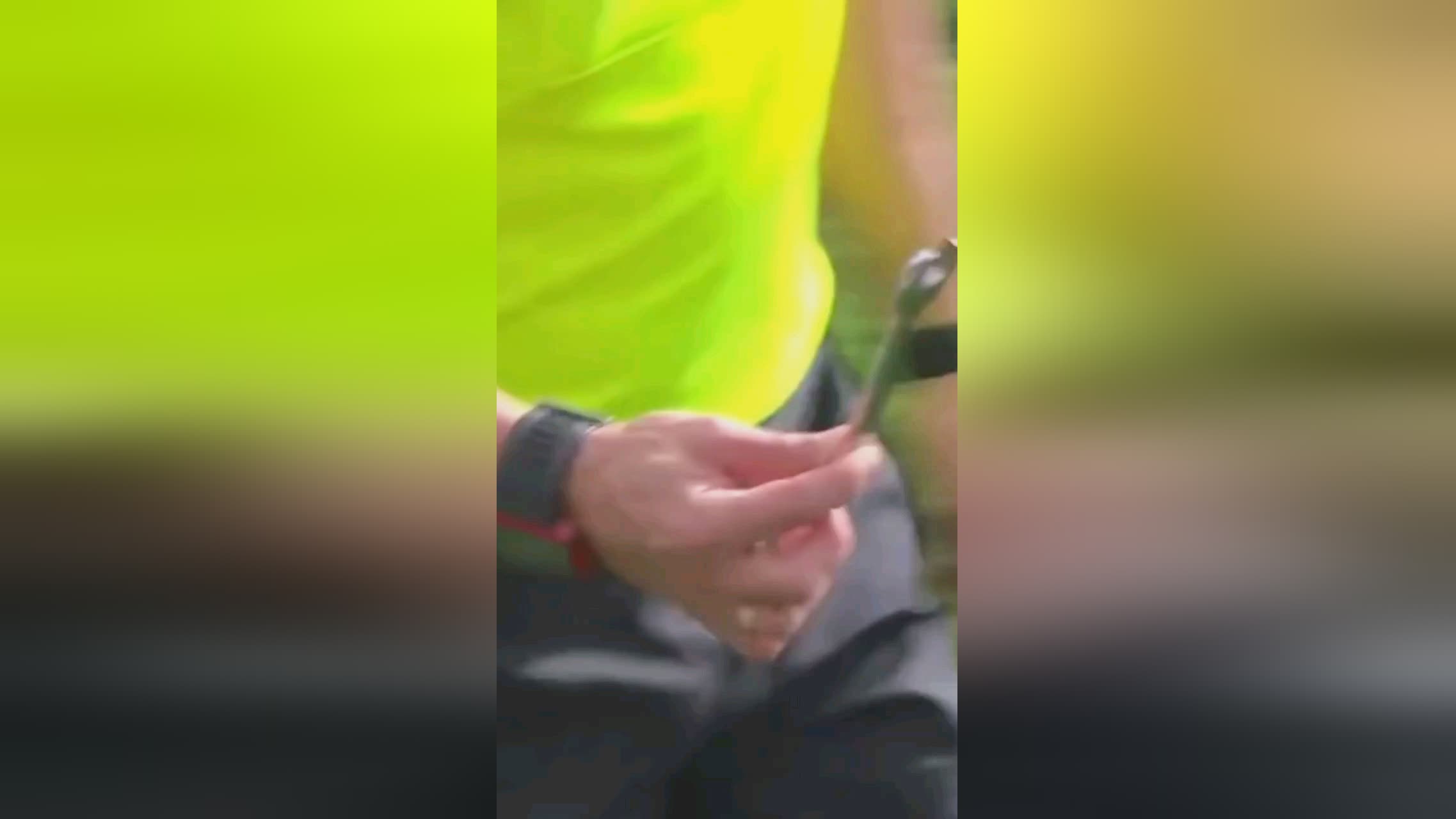 都将为球